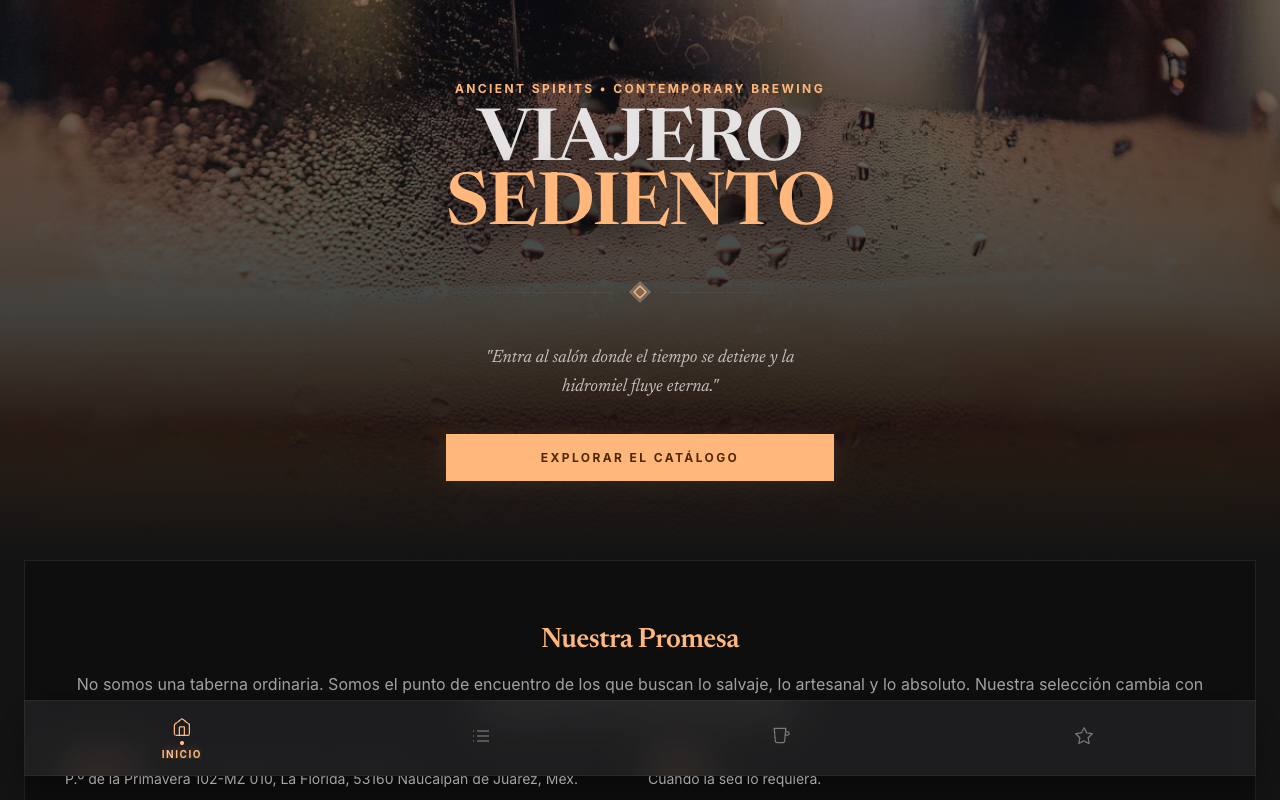 Viajero Sediento project screenshot